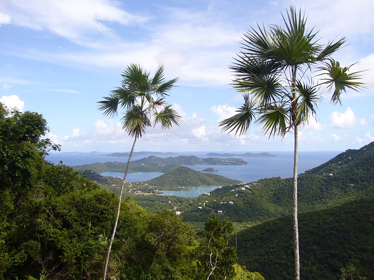 View of Coral Bay from Bordeaux Mt